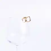 Vigos Earring | Çelik Küpe 4
