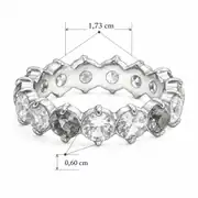 Perpetua Rose Ring | Çelik Yüzük 5