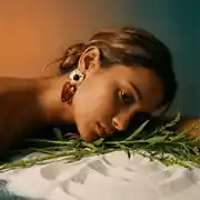 Amberia Earring | Çelik Küpe 2