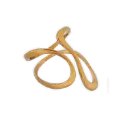 Aurea Ring | Çelik Yüzük 4