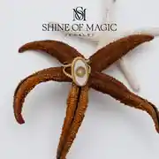 Torre Ring | Çelik Yüzük 3