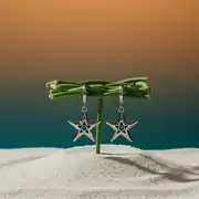 Celestea Earring | Çelik Küpe 2