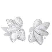 Zurinora Earring | Çelik Küpe 1