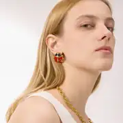 Ladiora Earring | Çelik Küpe 3