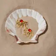 Redisona Earring | Çelik Küpe 4