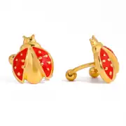 Vaole Earring | Çelik Küpe 1