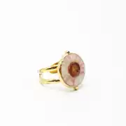 Dahlia Ring | Çelik Yüzük 2